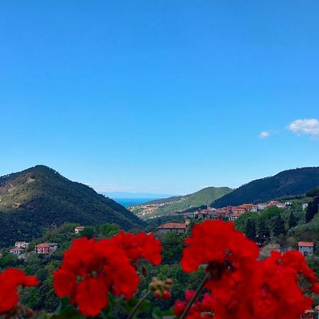 Castiglione Chiavarese Camera Tra Le Cinque Terre, Camogli E Portofino. Vista Valle E Scorcio Mare All'Orizzonte מראה חיצוני תמונה