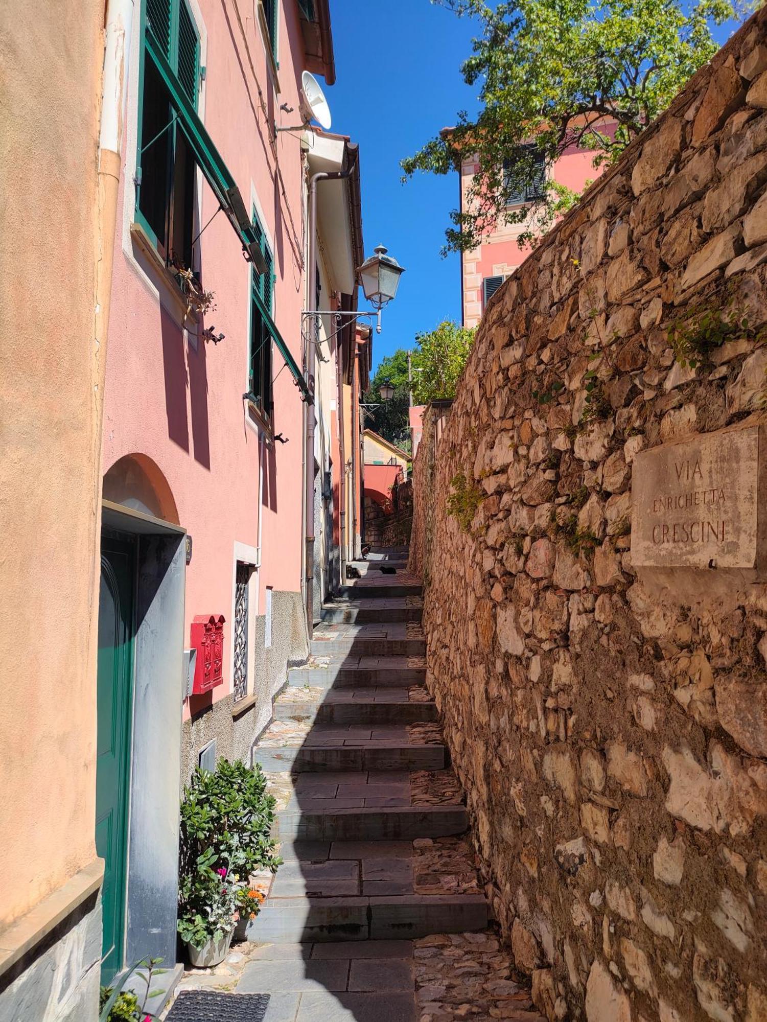 Castiglione Chiavarese Camera Tra Le Cinque Terre, Camogli E Portofino. Vista Valle E Scorcio Mare All'Orizzonte מראה חיצוני תמונה