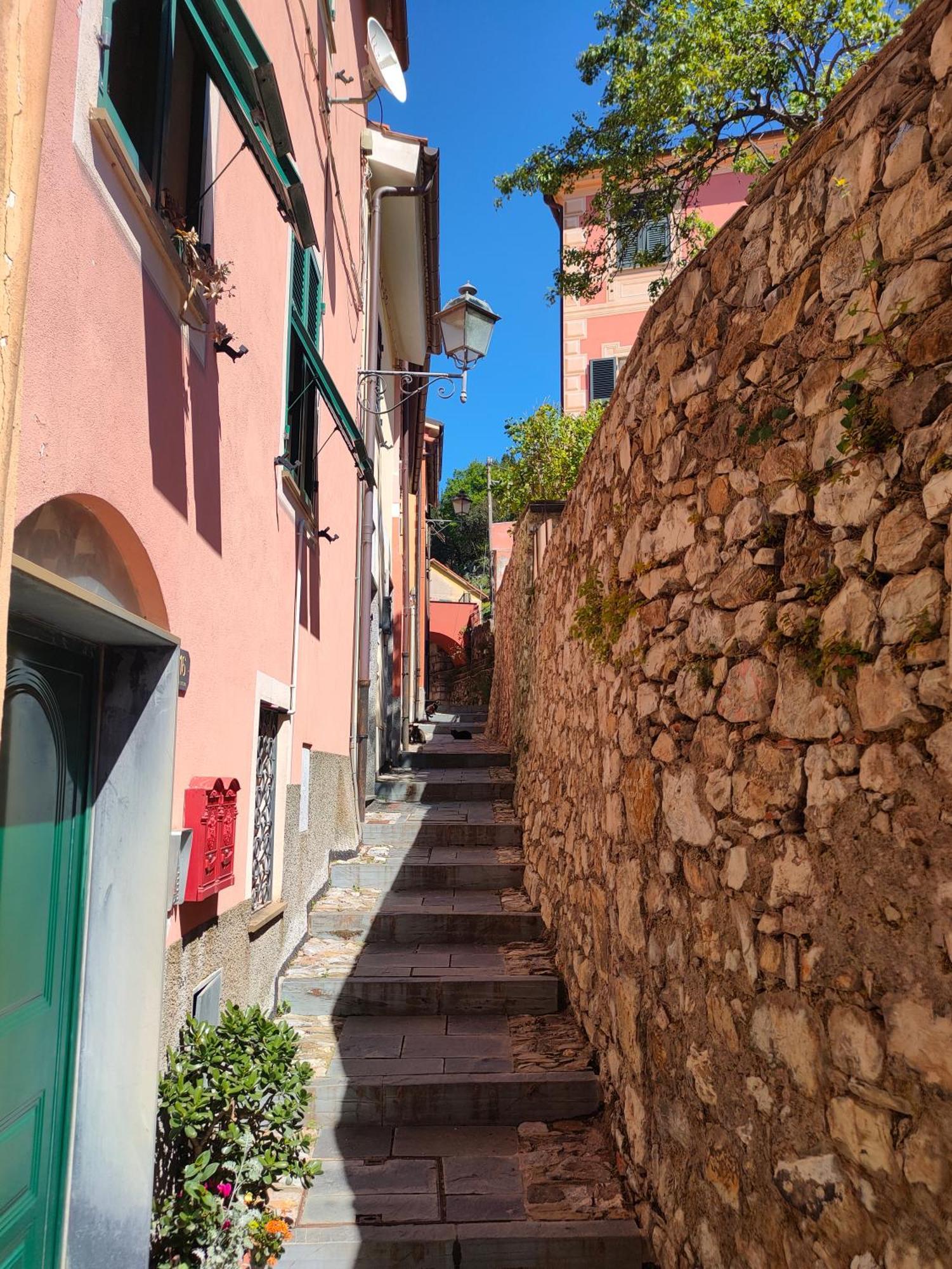 Castiglione Chiavarese Camera Tra Le Cinque Terre, Camogli E Portofino. Vista Valle E Scorcio Mare All'Orizzonte מראה חיצוני תמונה