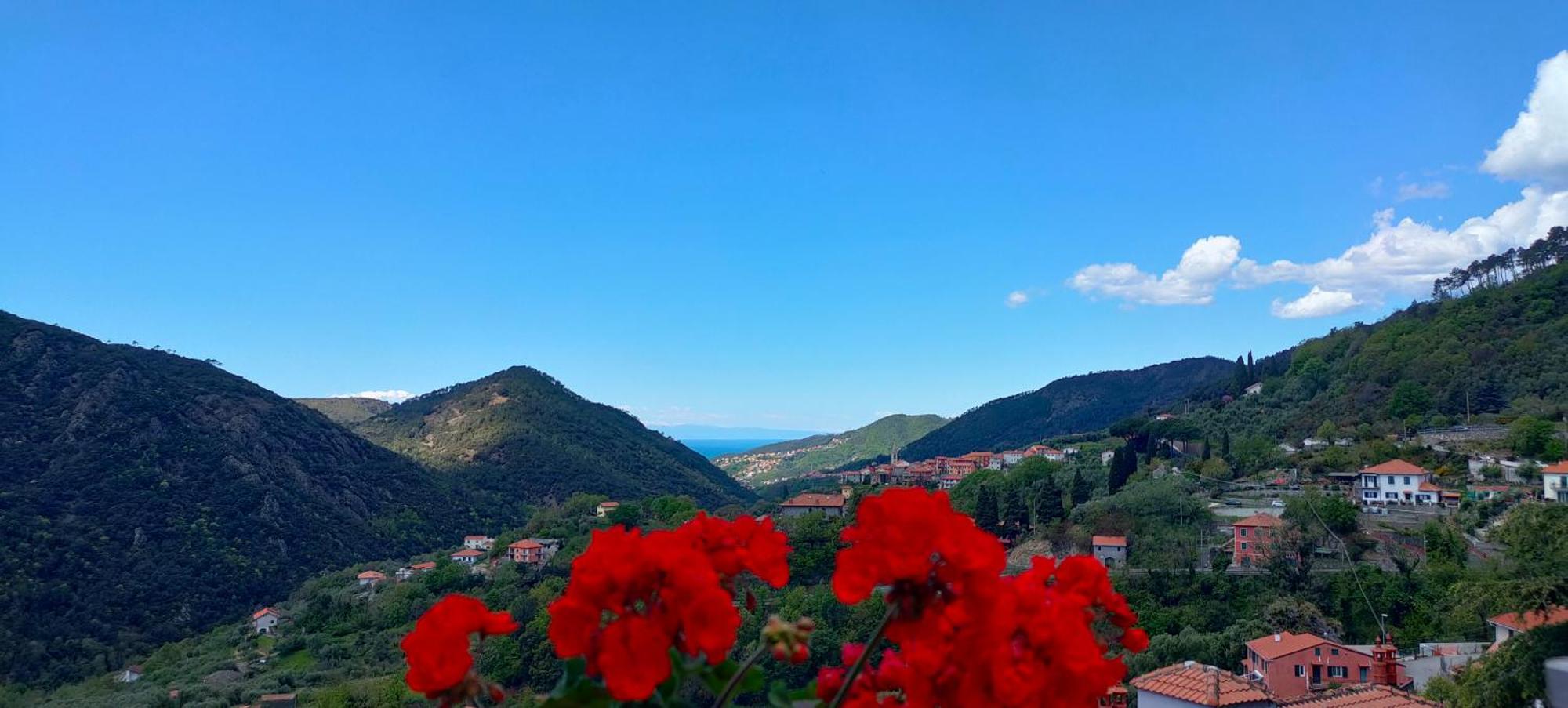 Castiglione Chiavarese Camera Tra Le Cinque Terre, Camogli E Portofino. Vista Valle E Scorcio Mare All'Orizzonte מראה חיצוני תמונה